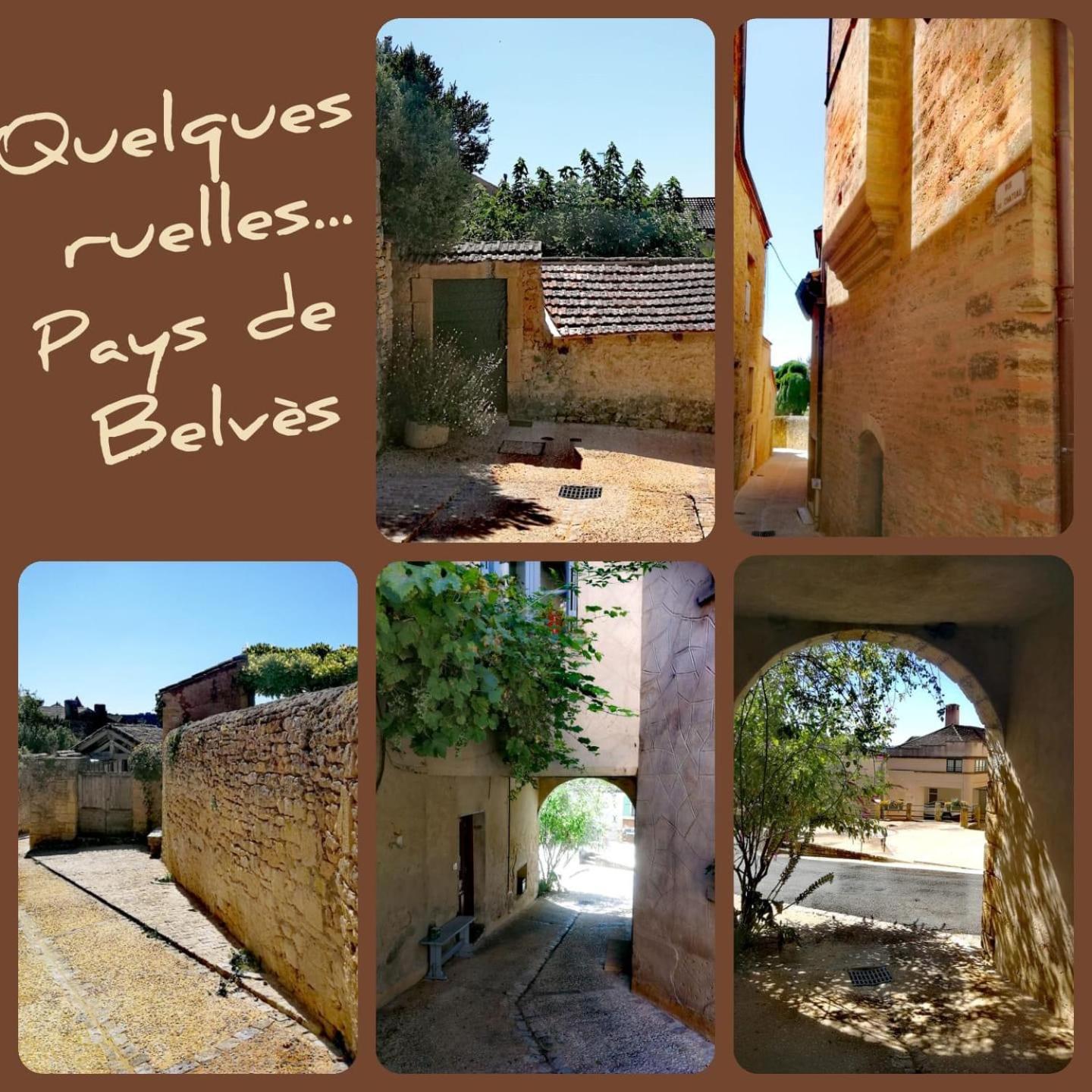 Belvès Au Lilas Rose Maison Entre Campagne Et Village מראה חיצוני תמונה
